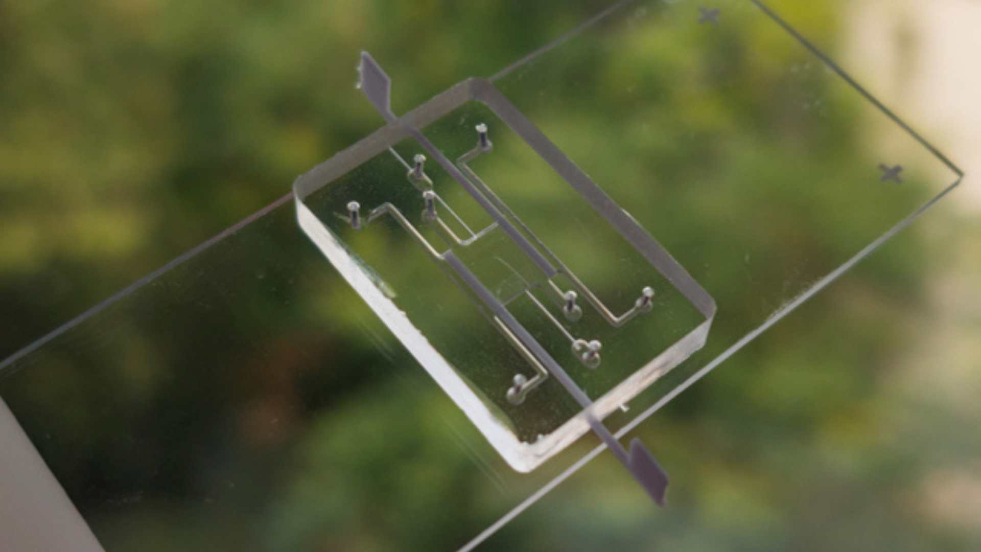 Tumeur sur puce pour amélioration du soin du patient (TME On Chip)