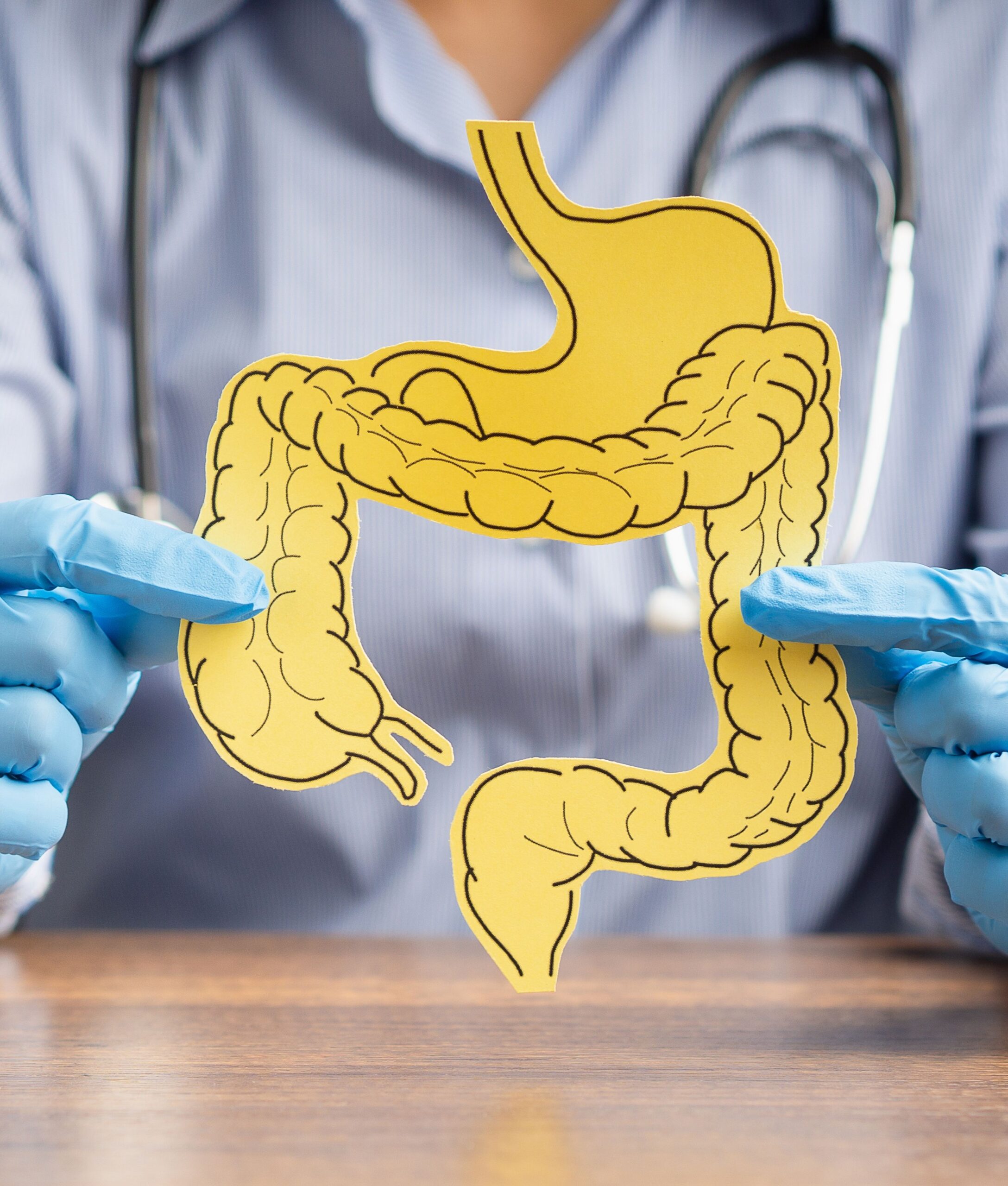  Un intestin sur puce optimisé pour decrypter la réponse immunitaire médiée par les cellules T γδ à une infection virale ou fongique (AUGMENT) 