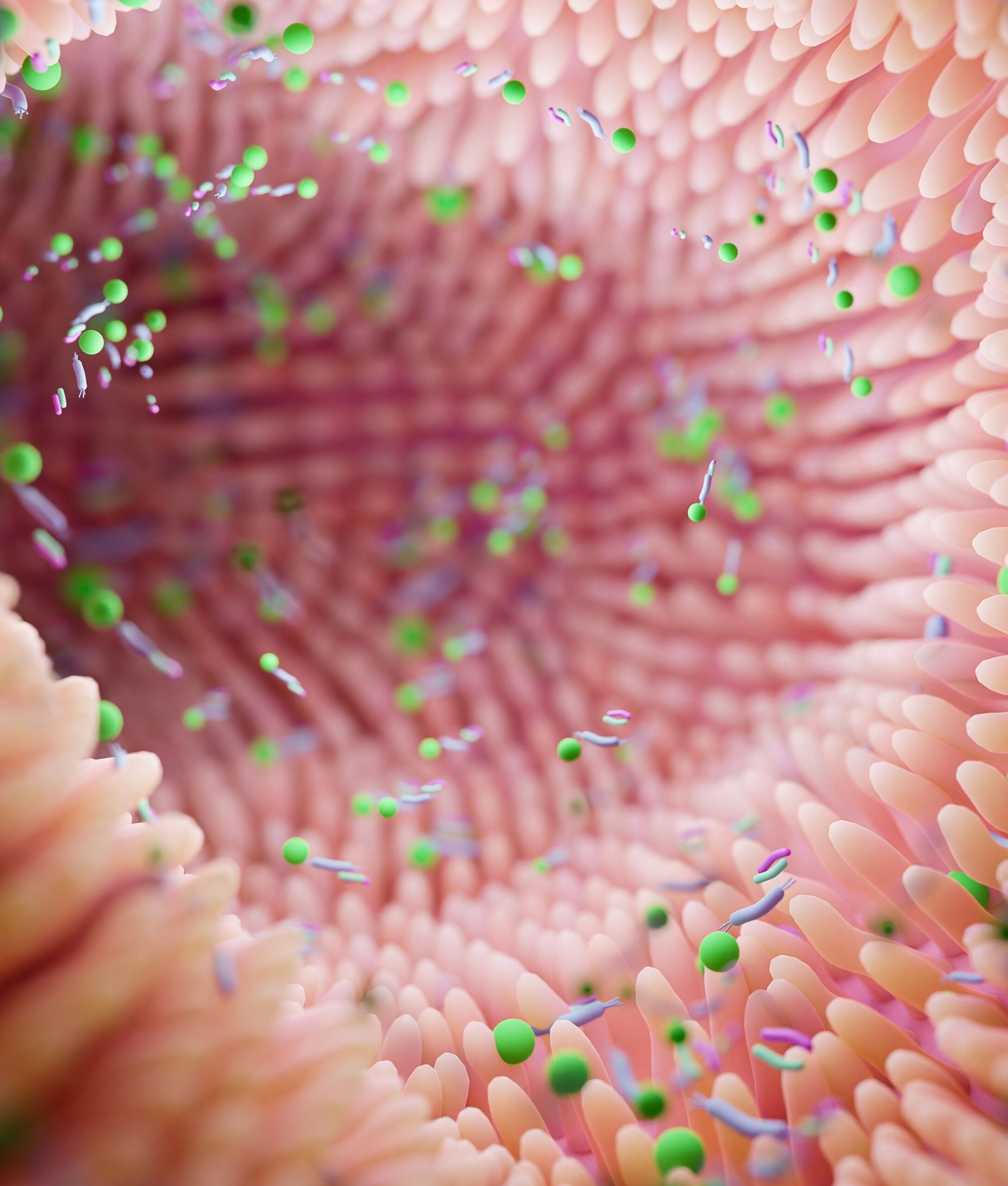  Développement d&rsquo;un modèle OoC intestinal multi-segmentaire et neurocompétent à partir de cellules souches hiPSC pour l&rsquo;étude des maladies infectieuses intestinales (HITOC) 