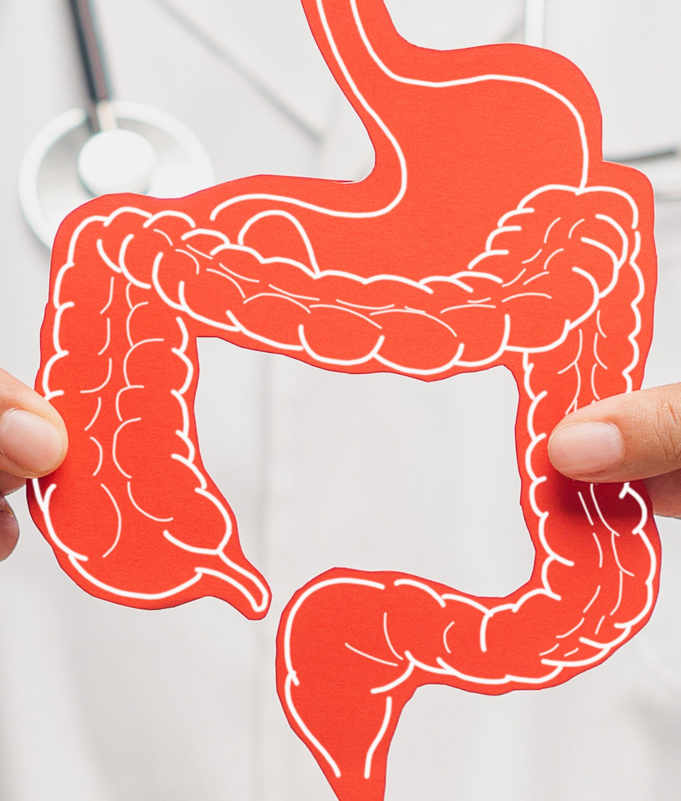  Un intestin sur puce optimisé pour decrypter la réponse immunitaire médiée par les cellules T γδ à une infection virale ou fongique (AUGMENT) 