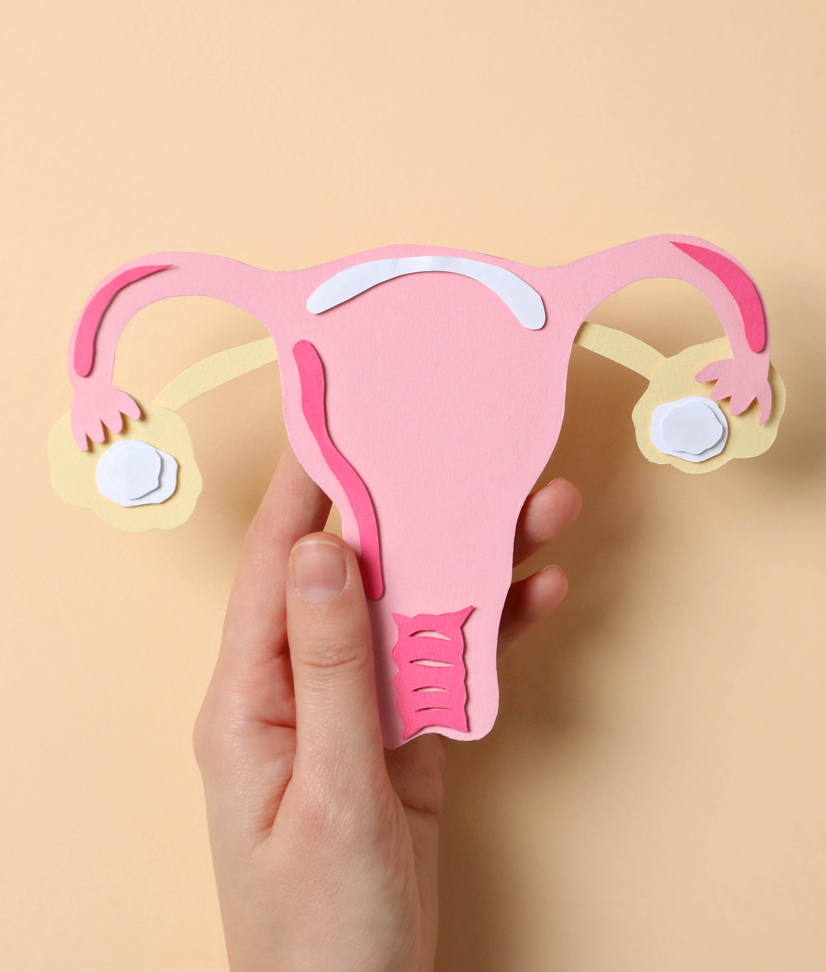  Tumeur-sur-puce mimant le microenvironnement du cancer de l&rsquo;Endomètre pour prédire l&rsquo;efficacité des traitements (SOFTER) 