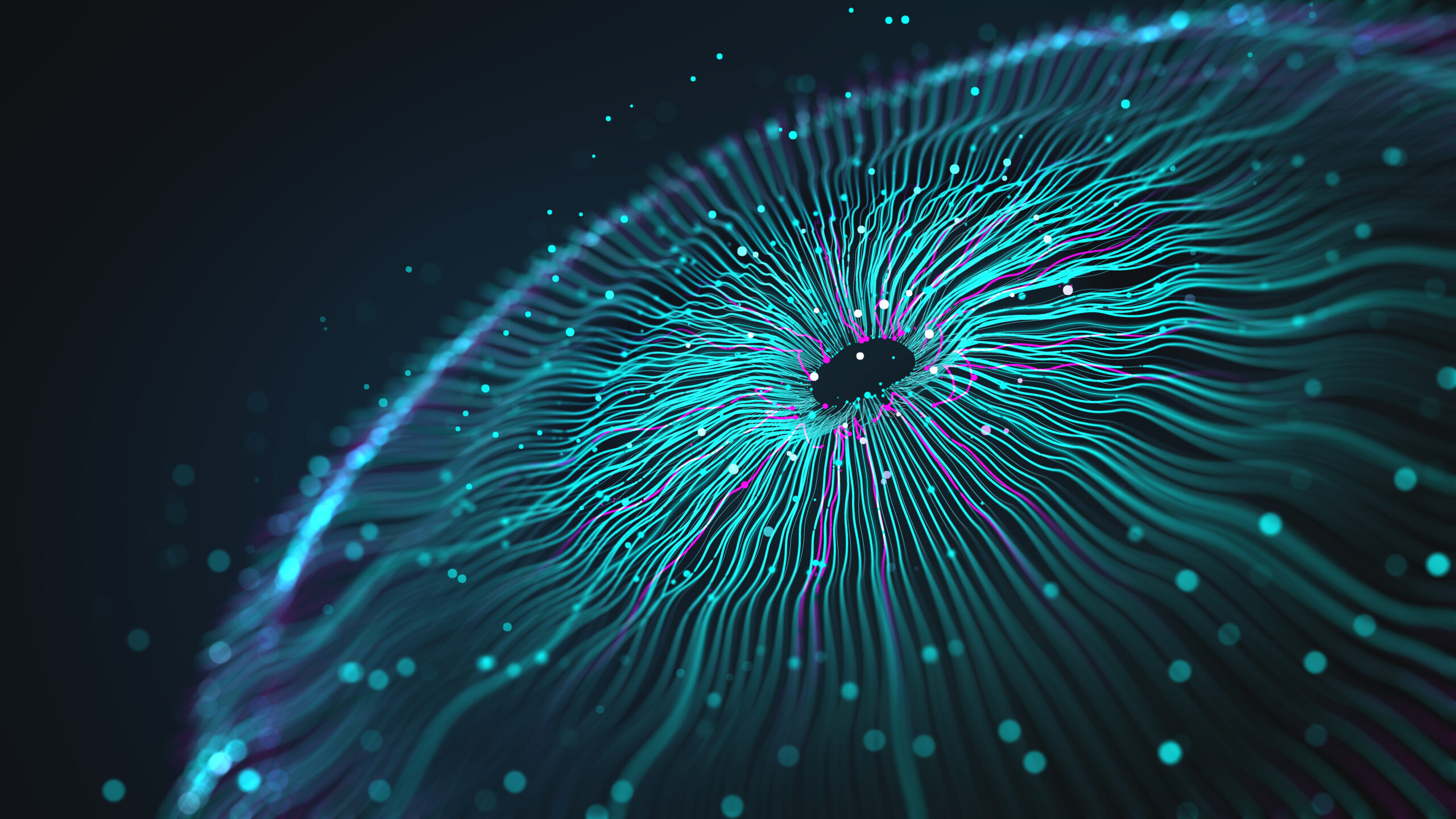  Vascularizing organoids-on-chip for perfused and personalized models 